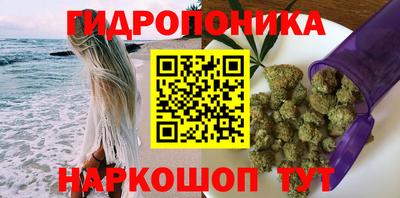 СК Нальчик
