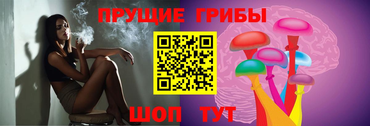 Галлюциногенные грибы Psilocybine cubensis  Псилоцибиновые грибы MAGIC MUSHROOMS  Фурманов  Вход с VPN 